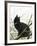 Timmy In Tree-Doris Joa-Framed Giclee Print