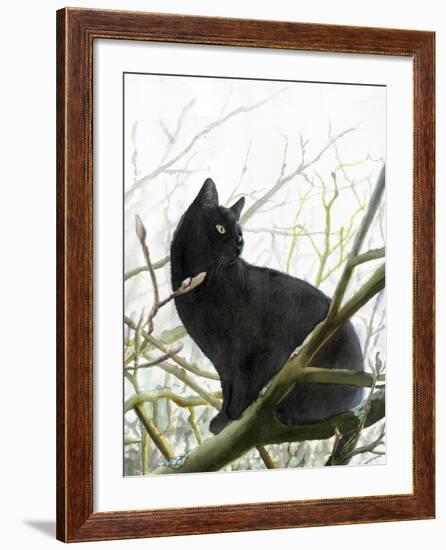 Timmy In Tree-Doris Joa-Framed Giclee Print