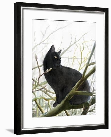 Timmy In Tree-Doris Joa-Framed Giclee Print
