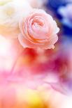 Beautiful Flowers Made with Color Filters and Textures-Timofeeva Maria-Art Print