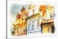 Stretched Canvas Print