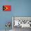 Timor-Leste Flag Design with Wood Patterning - Flags of the World Series-Philippe Hugonnard-Art Print displayed on a wall