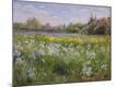 Premium Giclee Print
