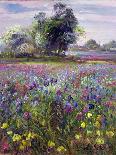 Lavender Seen Through Quince Trees, Monclus-Timothy Easton-Giclee Print