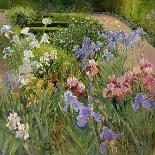 White Barn and Iris Field, 1992-Timothy Easton-Framed Giclee Print