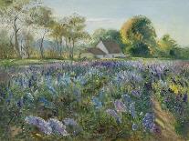 Apple Blossom Against Willow, 1990-Timothy Easton-Giclee Print