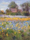 The Enclosed Cottages in the Iris Field-Timothy Easton-Giclee Print