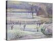 Stretched Canvas Print