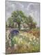 Premium Giclee Print