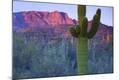 Photographic Print