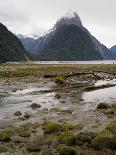Mitre Peak, Estuary and Bay from Milford Sound; Fiordland National Park, New Zealand-Timothy Mulholland-Framed Photographic Print