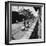 Tin Ingots Being Stacked Along the Penang Docks-Carl Mydans-Framed Premium Photographic Print