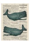 Sperm Whale-Tina Carlson-Framed Art Print
