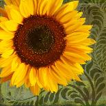 Summer Sun I-Tina Lavoie-Giclee Print