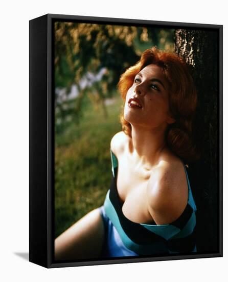 Tina Louise-null-Framed Stretched Canvas