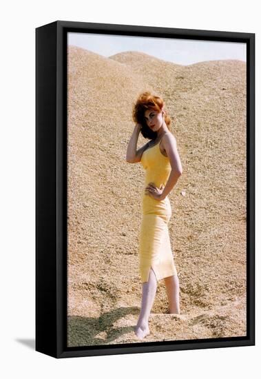 Tina Louise-null-Framed Stretched Canvas