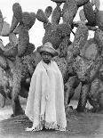Boy in Front of a Cactus, State of Veracruz, Mexico, 1927-Tina Modotti-Photographic Print