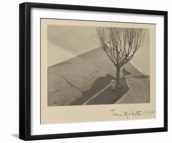 Tina Modotti, Tree with Dog, 1924-Tina Modotti-Framed Art Print