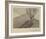 Tina Modotti, Tree with Dog, 1924-Tina Modotti-Framed Art Print