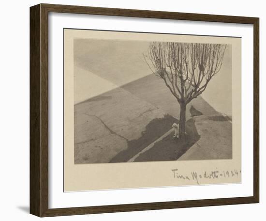 Tina Modotti, Tree with Dog, 1924-Tina Modotti-Framed Art Print