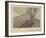 Tina Modotti, Tree with Dog, 1924-Tina Modotti-Framed Art Print