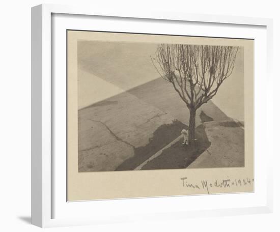 Tina Modotti, Tree with Dog, 1924-Tina Modotti-Framed Art Print