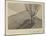 Tina Modotti, Tree with Dog, 1924-Tina Modotti-Mounted Art Print