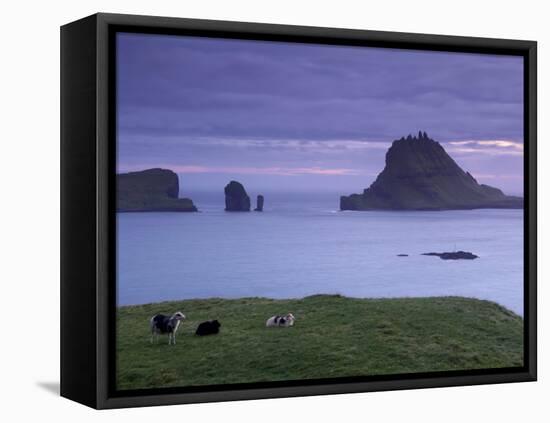 Tindholmur Island Rising to 262 M, and Drangarnir Natural Arch at Sunset, with Sheep, from Vagar-Patrick Dieudonne-Framed Premier Image Canvas