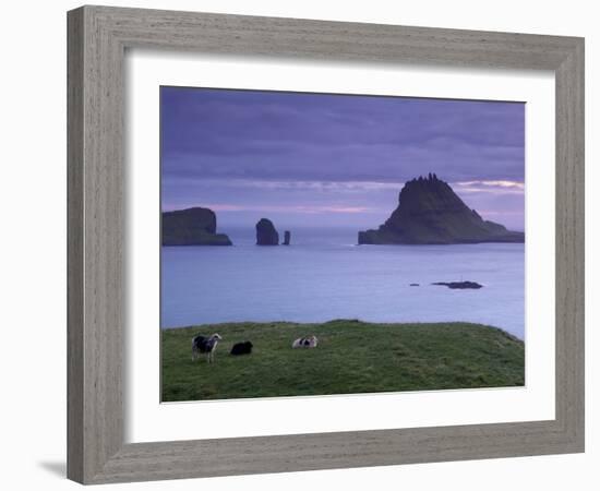 Tindholmur Island Rising to 262 M, and Drangarnir Natural Arch at Sunset, with Sheep, from Vagar-Patrick Dieudonne-Framed Photographic Print