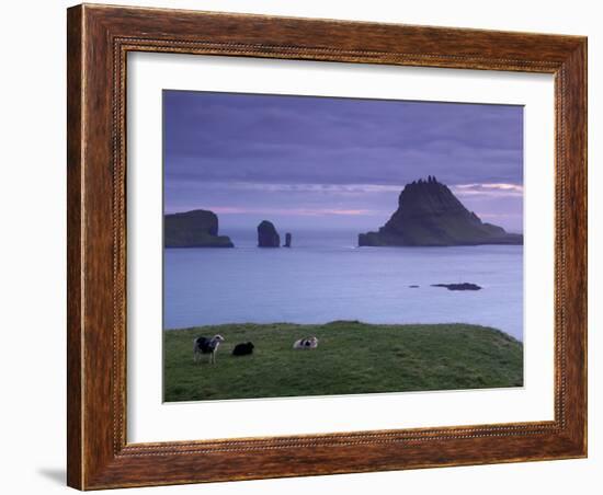 Tindholmur Island Rising to 262 M, and Drangarnir Natural Arch at Sunset, with Sheep, from Vagar-Patrick Dieudonne-Framed Photographic Print