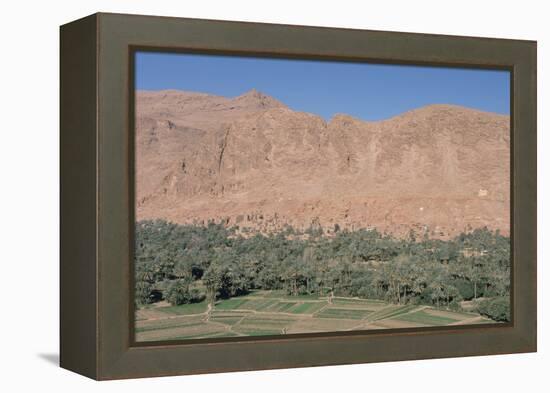 Tinerhir, Morocco-Vivienne Sharp-Framed Premier Image Canvas