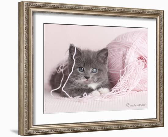 Tinker-Rachael Hale-Framed Art Print