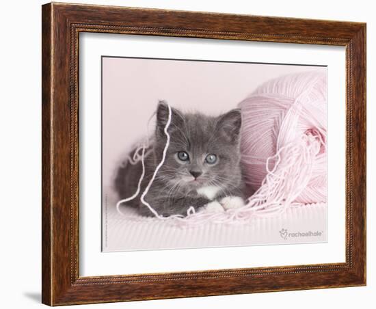 Tinker-Rachael Hale-Framed Art Print