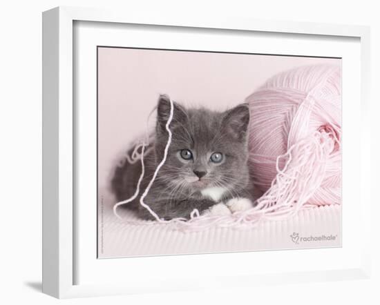 Tinker-Rachael Hale-Framed Art Print