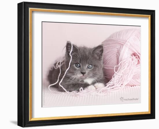 Tinker-Rachael Hale-Framed Art Print