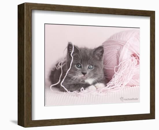 Tinker-Rachael Hale-Framed Photographic Print