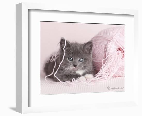 Tinker-Rachael Hale-Framed Photographic Print