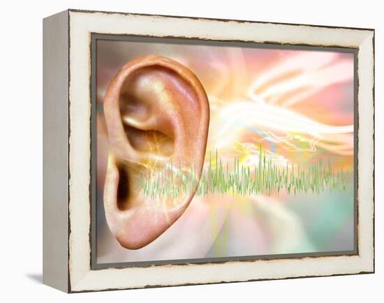 Tinnitus, Conceptual Artwork-Victor Habbick-Framed Premier Image Canvas