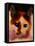 Tinsy Cat-Kenny Primmer-Framed Stretched Canvas