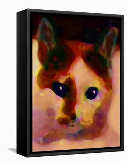 Tinsy Cat-Kenny Primmer-Framed Stretched Canvas