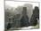 Tintagel Castle, Cornwall, England, United Kingdom-Adam Woolfitt-Mounted Photographic Print