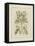 Tinted Botanical I-Samuel Curtis-Framed Stretched Canvas