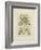 Tinted Botanical I-Samuel Curtis-Framed Art Print