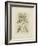 Tinted Botanical I-Samuel Curtis-Framed Art Print