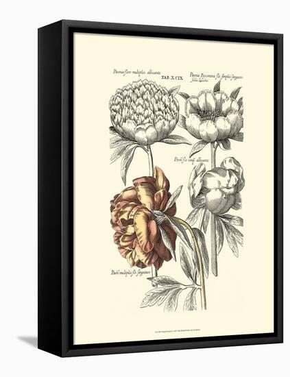 Tinted Floral I-Besler Basilius-Framed Stretched Canvas