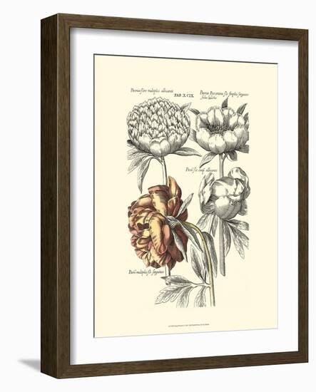 Tinted Floral I-Besler Basilius-Framed Premium Giclee Print