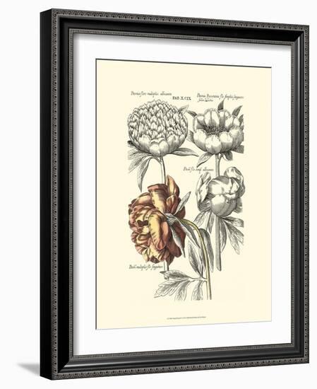 Tinted Floral I-Besler Basilius-Framed Premium Giclee Print