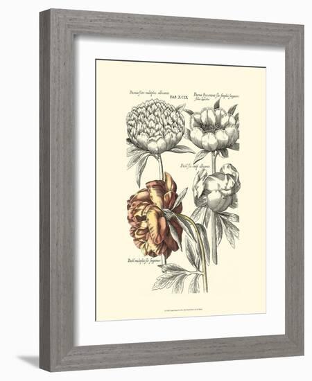 Tinted Floral I-Besler Basilius-Framed Art Print