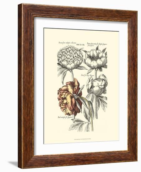 Tinted Floral I-Besler Basilius-Framed Art Print