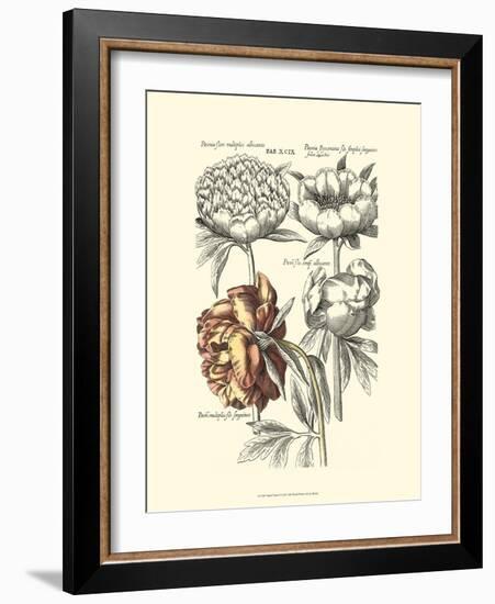 Tinted Floral I-Besler Basilius-Framed Art Print